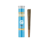 COOKIES THCA Pre-roll 1G - Honey Bun | HYBRID