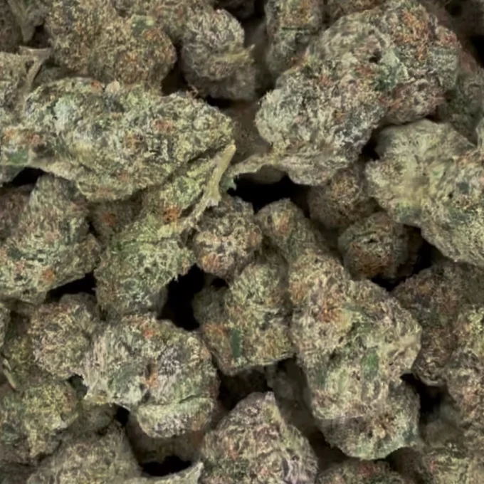 Blue Dream Exotic THCA Flower By JUICEY | SATIVA | 30.24%