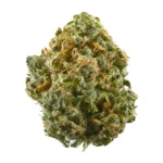 Blue Dream Exotic THCA Flower By JUICEY | SATIVA | 30.24%