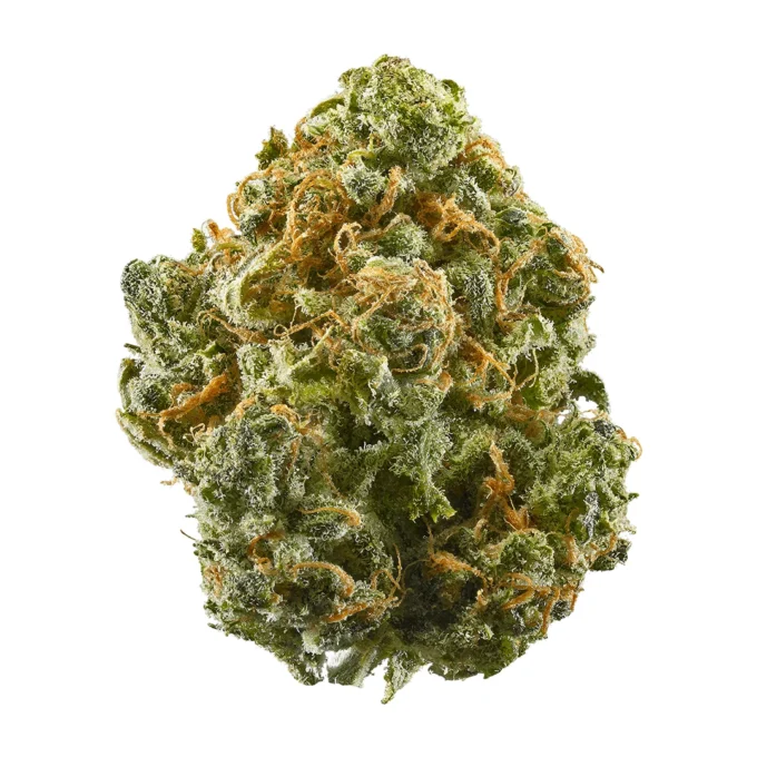 Blue Dream Exotic THCA Flower By JUICEY | SATIVA | 30.24%