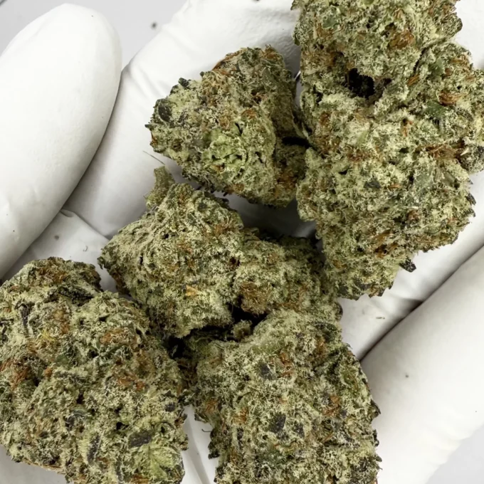 Purple Oreoz Exotic THCA Flower By JUICEY | INDICA | 37.12%