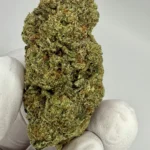 Purple Oreoz Exotic THCA Flower By JUICEY | INDICA | 37.12%