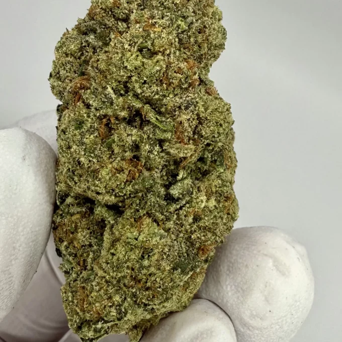 Purple Oreoz Exotic THCA Flower By JUICEY | INDICA | 37.12%