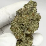 White Papaya Exotic THCA Flower By JUICEY | HYBRID | 28%