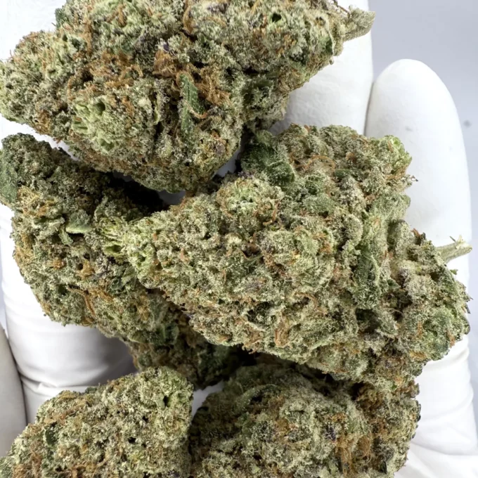 White Papaya Exotic THCA Flower By JUICEY | HYBRID | 28%
