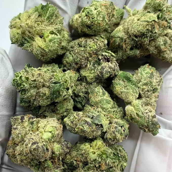 JUICEY THCA Flower - Gorilla Glue #4 Exotic 40.6%  | HYBRID